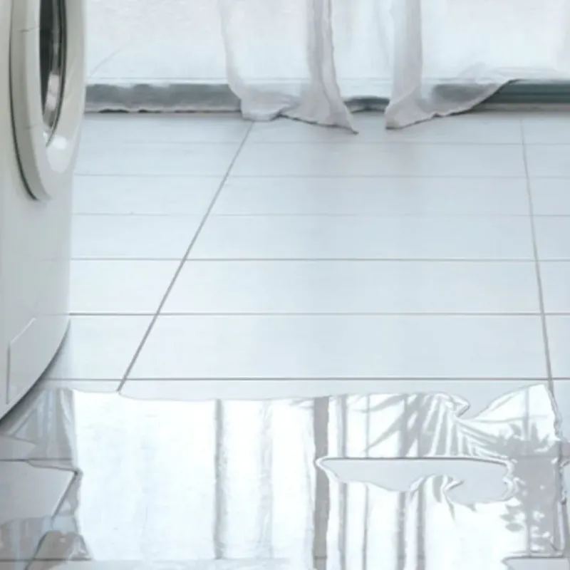 Appliance Leak Cleanup in Hackberry, LA