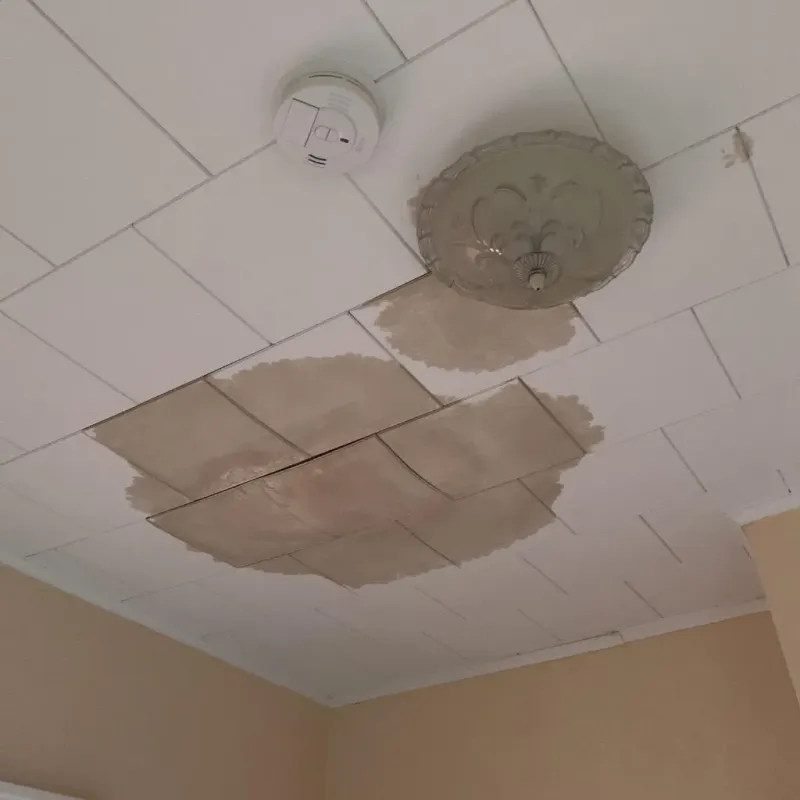 Ceiling Water Damage Repair in Hackberry, LA